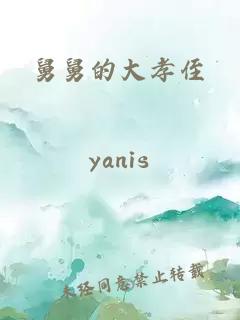 舅舅的大孝侄